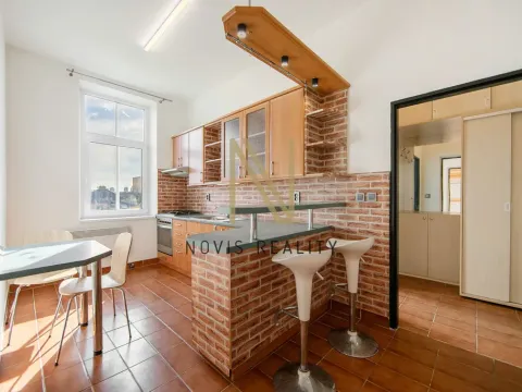 Pronájem bytu 1+1, Plzeň, Plzenecká, 42 m2