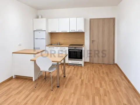 Pronájem bytu 1+kk, Olomouc, Aloise Rašína, 29 m2