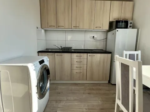 Pronájem bytu 1+1, Ostrava - Zábřeh, Čujkovova, 28 m2