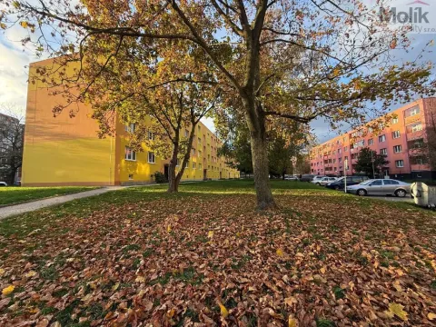 Prodej bytu 2+1, Bílina - Teplické Předměstí, M. Švabinského, 56 m2