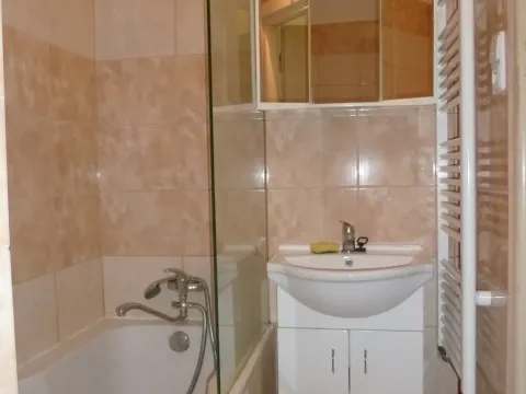 Pronájem bytu 1+1, Ostrava - Poruba, 39 m2
