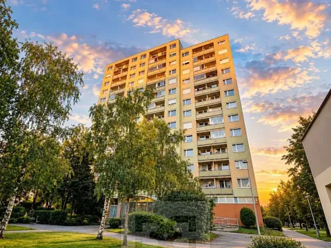 Prodej bytu 2+kk, Praha - Chodov, Tererova, 48 m2