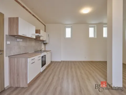 Pronájem bytu 1+kk, Mlékojedy, 43 m2