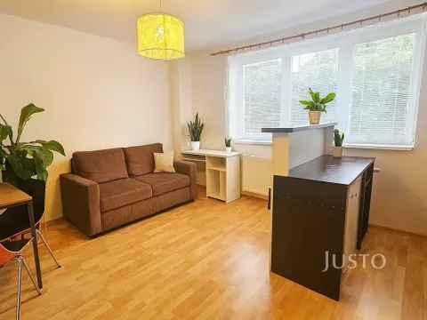Pronájem bytu 1+kk, Písek, Přemyslova, 28 m2