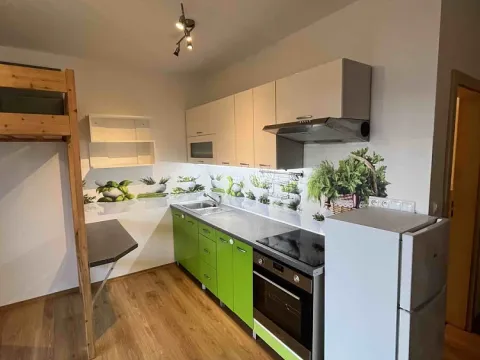 Pronájem bytu 1+kk, Boskovice, Na Výsluní, 30 m2