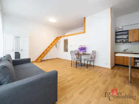 Prodej bytu 1+kk, Praha - Žižkov, Rokycanova, 30 m2
