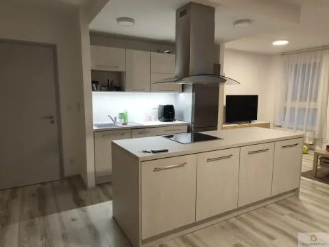 Pronájem bytu 2+kk, Olomouc, Eduarda Hamburgera, 76 m2