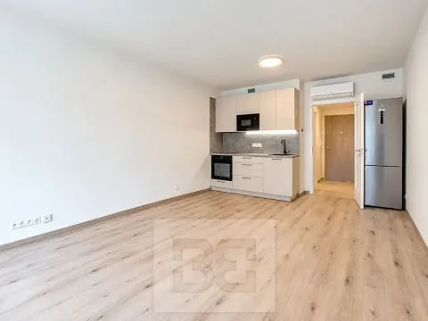 Pronájem bytu 1+kk, Praha - Hloubětín, Poděbradská, 32 m2