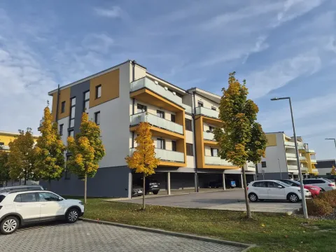 Pronájem bytu 3+kk, České Budějovice - České Budějovice 7, Stradonická, 89 m2