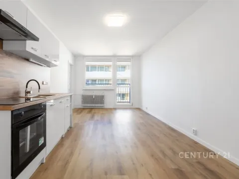 Pronájem bytu 2+kk, Most, Brněnská, 35 m2