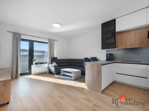 Pronájem bytu 2+kk, Brno - Staré Brno, Nové sady, 68 m2