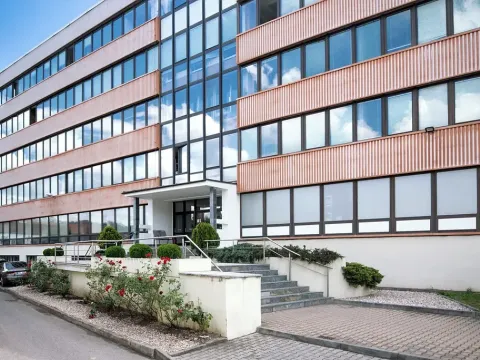 Pronájem garážového stání, Praha - Holešovice, Jankovcova, 15 m2
