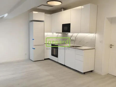 Pronájem bytu 2+kk, Brno - Zábrdovice, Slepá, 54 m2
