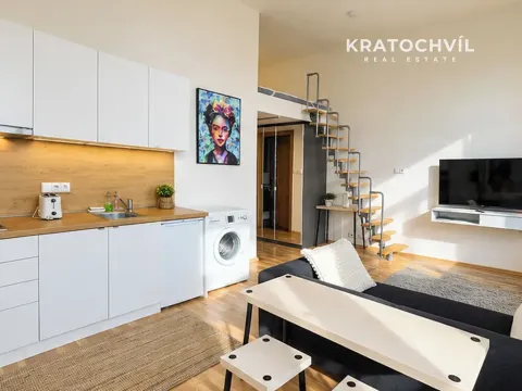 Pronájem bytu 1+kk, Praha - Smíchov, Radlická, 24 m2