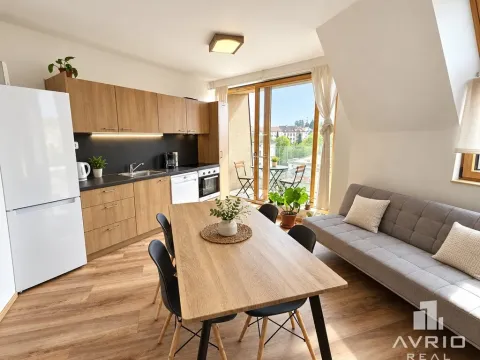 Pronájem bytu 2+kk, Brno, Údolní, 42 m2