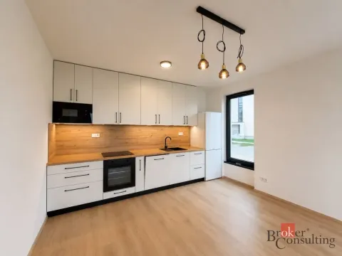 Pronájem bytu 2+kk, Plzeň - Jižní Předměstí, Železná, 58 m2