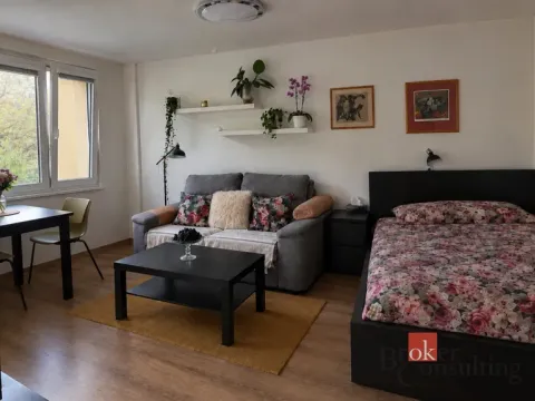 Pronájem bytu 1+kk, Praha - Střížkov, Rumburská, 27 m2