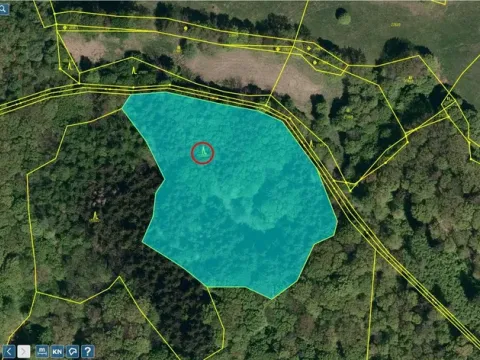 Prodej lesa, Brumov-Bylnice, 10951 m2