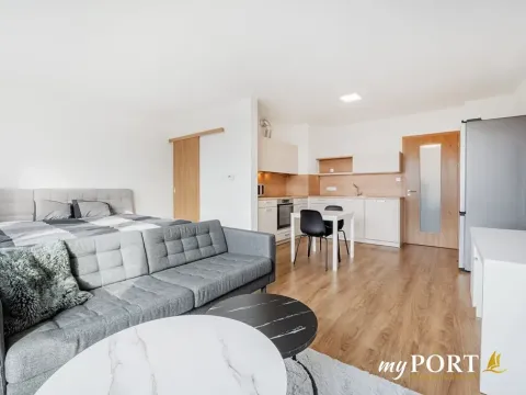 Pronájem bytu 1+kk, Plzeň, Hálkova, 41 m2