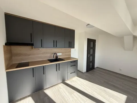 Prodej bytu 1+kk, Plzeň, Rokycanská, 27 m2